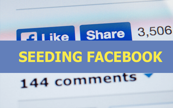 Chiến lược seeding facebook